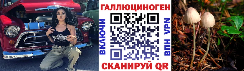 Купить где Сольвычегодск Галлюциногенные грибы GOLDEN TEACHER